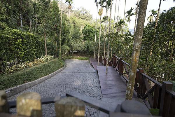 苗栗樹也2021年11月 - 92