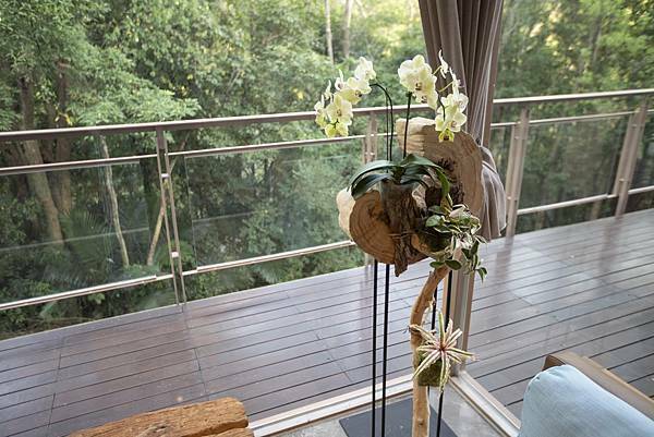 苗栗樹也2021年11月 - 31