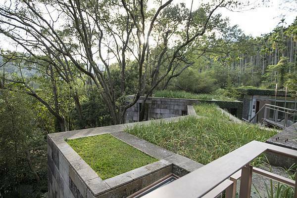 苗栗樹也2021年11月 - 45