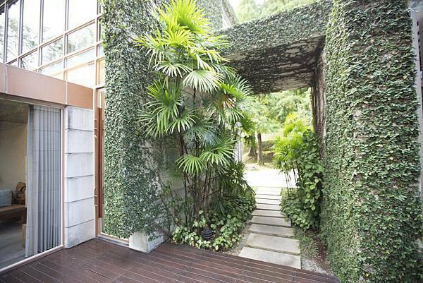 苗栗樹也2021年11月 - 52