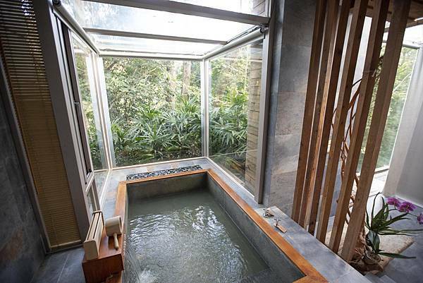 苗栗樹也2021年11月 - 30