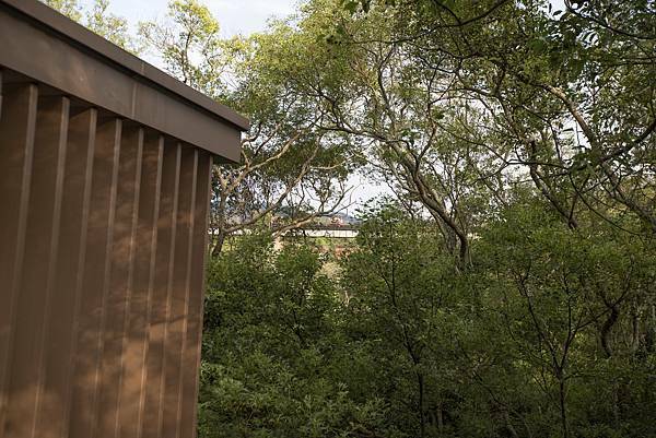 苗栗樹也2021年11月 - 42