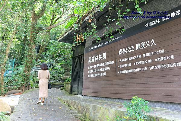 IMG_8803.JPG IMG_8803.JPG