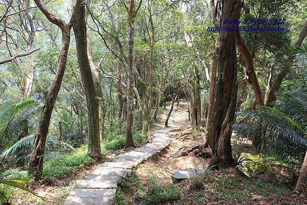 IMG_8862.JPG IMG_8862.JPG