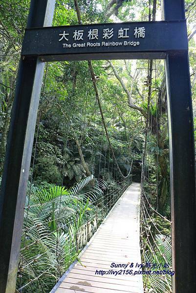 IMG_8846.JPG IMG_8846.JPG