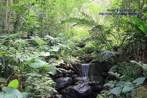 IMG_8810.JPG IMG_8810.JPG