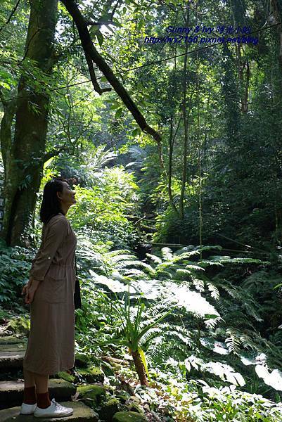 IMG_8819.JPG IMG_8819.JPG