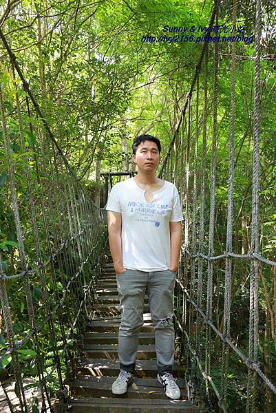 IMG_8791.JPG IMG_8791.JPG