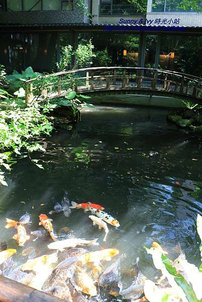 IMG_8794.JPG IMG_8794.JPG