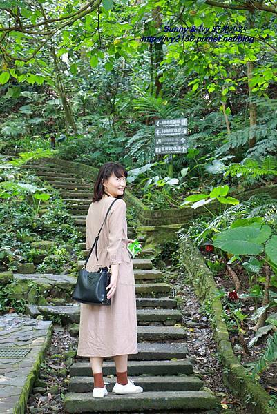 IMG_8805.JPG IMG_8805.JPG