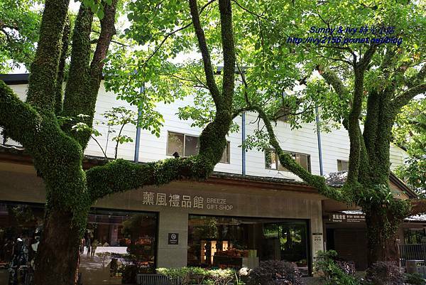 IMG_8906.JPG IMG_8906.JPG