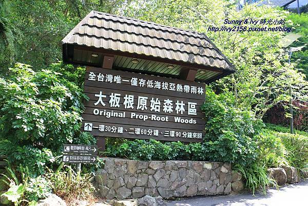 IMG_8802.JPG IMG_8802.JPG