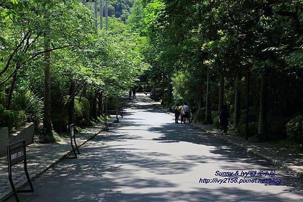 IMG_8904.JPG IMG_8904.JPG