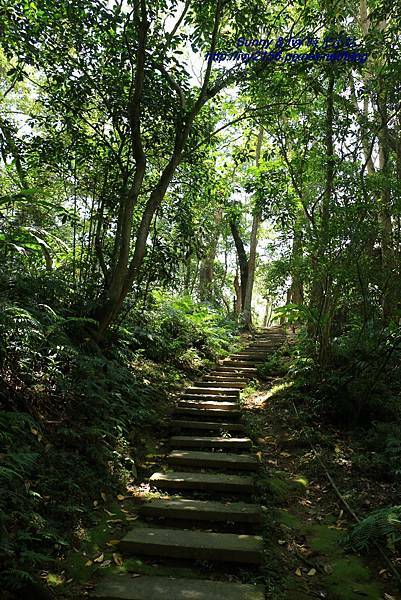 IMG_8859.JPG IMG_8859.JPG