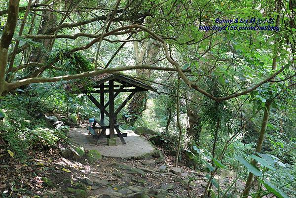 IMG_8826.JPG IMG_8826.JPG