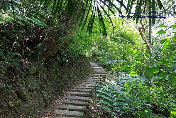 IMG_8857.JPG IMG_8857.JPG