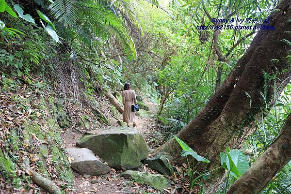 IMG_8840.JPG IMG_8840.JPG