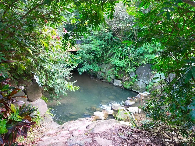 Larix pine garden plaza at Nangang, Taipei, Taiwan, SJKen, Dec 10, 2021.