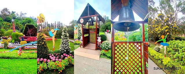 士林官邸2021「菊來運轉」花展 (Shilin Residence Chrysanthesmum Festival), Nov 26 ~ Dec 12, 2021, Taipei, Taiwan, SJKen, Dec 4, 2021.