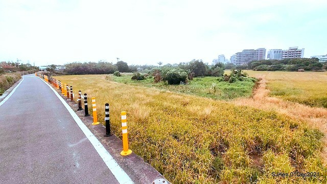 2021「熊愛關渡」稻草裝置藝術展(Bear art exhibition at Kuandu , Taipei, Taiwan, SJKen, Dec 1, 2021.