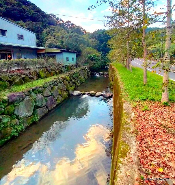 Larix pine garden plaza at Nangang, Taipei, Taiwan, SJKen, Dec 10, 2021.