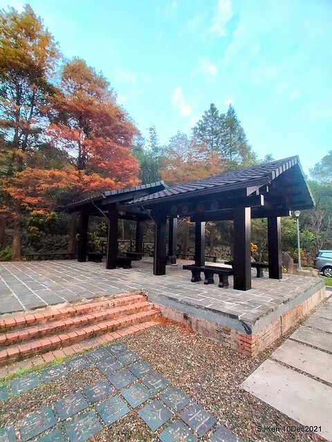 Larix pine garden plaza at Nangang, Taipei, Taiwan, SJKen, Dec 10, 2021.