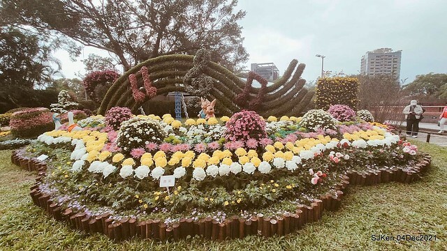 士林官邸2021「菊來運轉」花展 (Shilin Residence Chrysanthesmum Festival), Nov 26 ~ Dec 12, 2021, Taipei, Taiwan, SJKen, Dec 4, 2021.