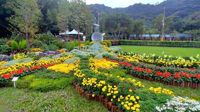 士林官邸2021「菊來運轉」花展 (Shilin Residence Chrysanthesmum Festival), Nov 26 ~ Dec 12, 2021, Taipei, Taiwan, SJKen, Dec 4, 2021.