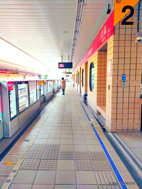 2021「熊愛關渡」稻草裝置藝術展(Bear art exhibition at Kuandu , Taipei, Taiwan, SJKen, Dec 1, 2021.