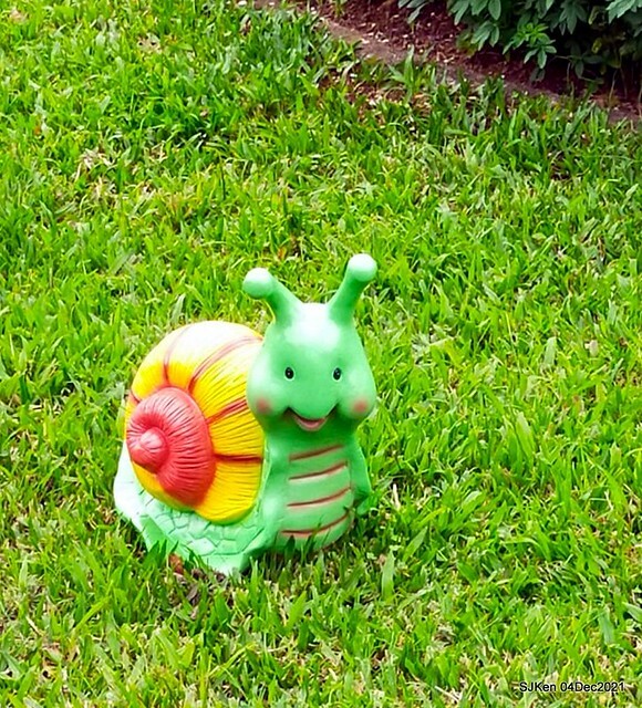 士林官邸2021「菊來運轉」花展 (Shilin Residence Chrysanthesmum Festival), Nov 26 ~ Dec 12, 2021, Taipei, Taiwan, SJKen, Dec 4, 2021.