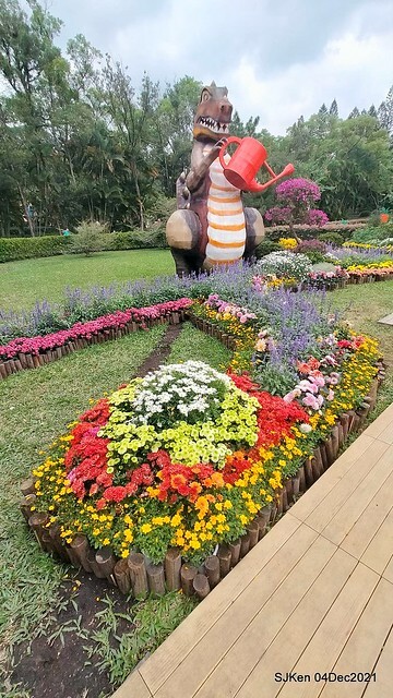 士林官邸2021「菊來運轉」花展 (Shilin Residence Chrysanthesmum Festival), Nov 26 ~ Dec 12, 2021, Taipei, Taiwan, SJKen, Dec 4, 2021.