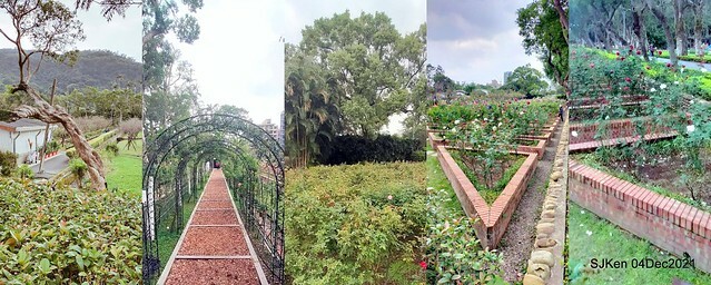 士林官邸2021「菊來運轉」花展 (Shilin Residence Chrysanthesmum Festival), Nov 26 ~ Dec 12, 2021, Taipei, Taiwan, SJKen, Dec 4, 2021.