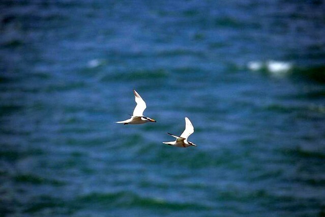 Taiwan record movie 紀錄片電影