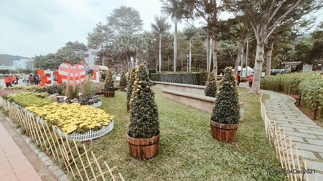 士林官邸2021「菊來運轉」花展 (Shilin Residence Chrysanthesmum Festival), Nov 26 ~ Dec 12, 2021, Taipei, Taiwan, SJKen, Dec 4, 2021.