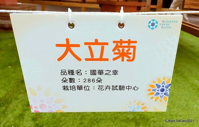 士林官邸2021「菊來運轉」花展 (Shilin Residence Chrysanthesmum Festival), Nov 26 ~ Dec 12, 2021, Taipei, Taiwan, SJKen, Dec 4, 2021.