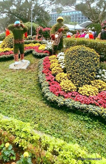 士林官邸2021「菊來運轉」花展 (Shilin Residence Chrysanthesmum Festival), Nov 26 ~ Dec 12, 2021, Taipei, Taiwan, SJKen, Dec 4, 2021.