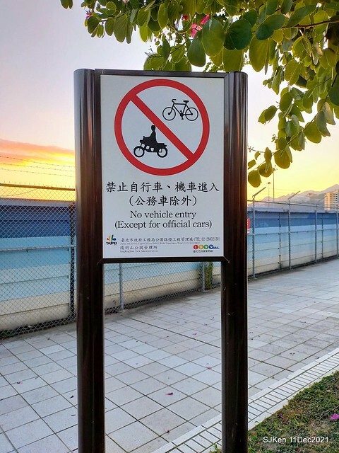 Larix pine trail nearby Fuxinggang metro station, Taipei, Taiwan, SJKen, Dec 11, 2021.