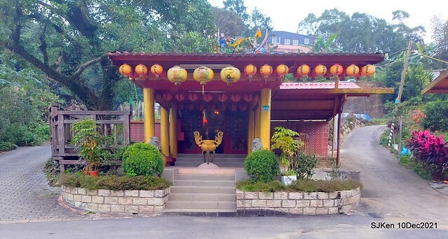 Larix pine garden plaza at Nangang, Taipei, Taiwan, SJKen, Dec 10, 2021.