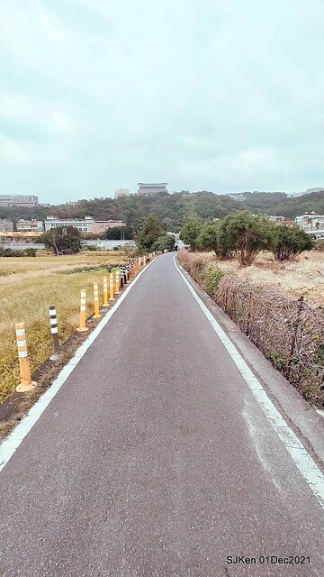 2021「熊愛關渡」稻草裝置藝術展(Bear art exhibition at Kuandu , Taipei, Taiwan, SJKen, Dec 1, 2021.