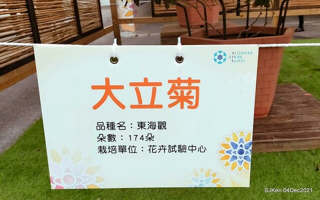 士林官邸2021「菊來運轉」花展 (Shilin Residence Chrysanthesmum Festival), Nov 26 ~ Dec 12, 2021, Taipei, Taiwan, SJKen, Dec 4, 2021.