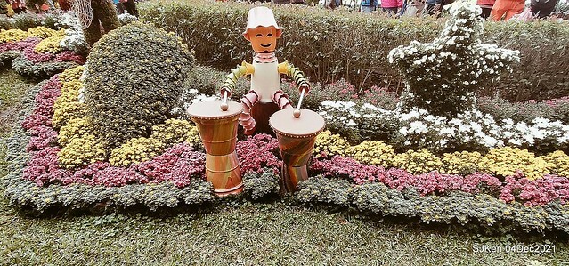 士林官邸2021「菊來運轉」花展 (Shilin Residence Chrysanthesmum Festival), Nov 26 ~ Dec 12, 2021, Taipei, Taiwan, SJKen, Dec 4, 2021.