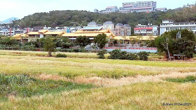 2021「熊愛關渡」稻草裝置藝術展(Bear art exhibition at Kuandu , Taipei, Taiwan, SJKen, Dec 1, 2021.