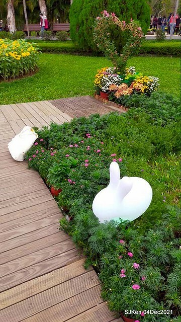 士林官邸2021「菊來運轉」花展 (Shilin Residence Chrysanthesmum Festival), Nov 26 ~ Dec 12, 2021, Taipei, Taiwan, SJKen, Dec 4, 2021.