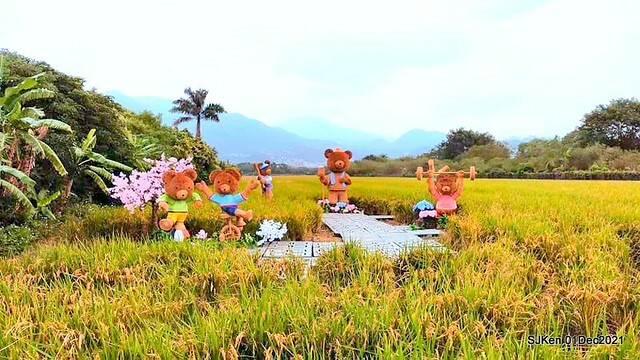 2021「熊愛關渡」稻草裝置藝術展(Bear art exhibition at Kuandu , Taipei, Taiwan, SJKen, Dec 1, 2021.