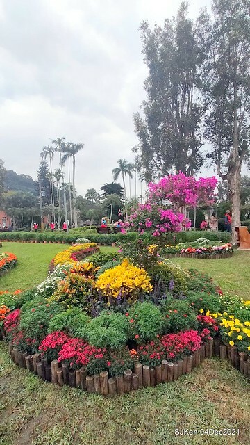 士林官邸2021「菊來運轉」花展 (Shilin Residence Chrysanthesmum Festival), Nov 26 ~ Dec 12, 2021, Taipei, Taiwan, SJKen, Dec 4, 2021.