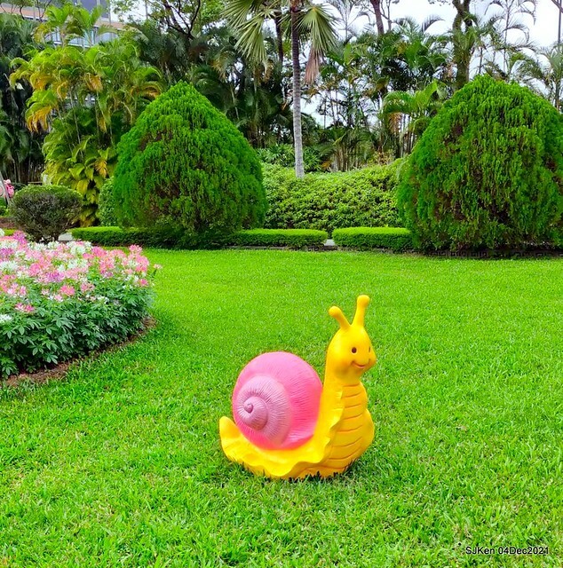 士林官邸2021「菊來運轉」花展 (Shilin Residence Chrysanthesmum Festival), Nov 26 ~ Dec 12, 2021, Taipei, Taiwan, SJKen, Dec 4, 2021.