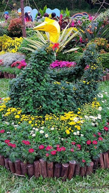 士林官邸2021「菊來運轉」花展 (Shilin Residence Chrysanthesmum Festival), Nov 26 ~ Dec 12, 2021, Taipei, Taiwan, SJKen, Dec 4, 2021.