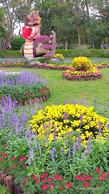 士林官邸2021「菊來運轉」花展 (Shilin Residence Chrysanthesmum Festival), Nov 26 ~ Dec 12, 2021, Taipei, Taiwan, SJKen, Dec 4, 2021.