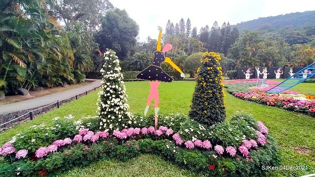 士林官邸2021「菊來運轉」花展 (Shilin Residence Chrysanthesmum Festival), Nov 26 ~ Dec 12, 2021, Taipei, Taiwan, SJKen, Dec 4, 2021.