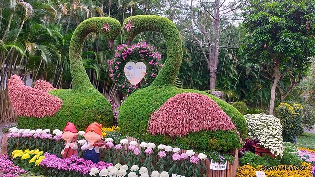 士林官邸2021「菊來運轉」花展 (Shilin Residence Chrysanthesmum Festival), Nov 26 ~ Dec 12, 2021, Taipei, Taiwan, SJKen, Dec 4, 2021.